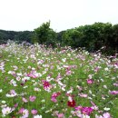 중앙동-01 이미지