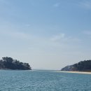 자월도