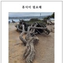 휴식이필요해