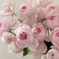 느루Flowerstudio