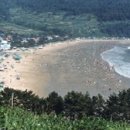 송정솔바람해변 이미지