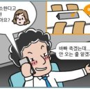 호야펫 이미지
