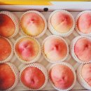 웃과수원농원 | [23-29주]배에 털이? 숨이 가쁘고 명치가 답답