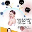씨씨피피