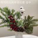 아이리스의원 이미지