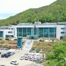 청송분식 이미지