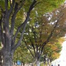 무지개체육관 이미지