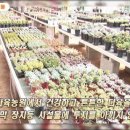 진영농원 이미지