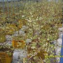 가온하우스 이미지