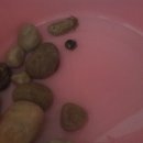 잉카의작은마을 이미지