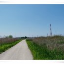 용수교 둔치 야구장 이미지