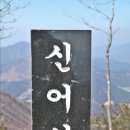 까치산 신어산 돛대산 ~ 2013년 3월 3일 이미지