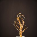 영주두부마을 이미지