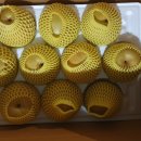 최상배농장 이미지