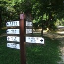 서오릉산책