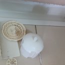 둔산로 | [위클린케어] 대구 둔산로 공군 관사 21평 이사청소 후기