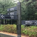 숲길 이미지