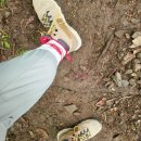 와항 주차장 화장실 이미지