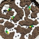 무안생태갯벌과학관 이미지