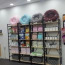 꾸미는 강아지 이미지