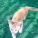 맑은세차장 이미지