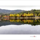 설봉공원 이미지