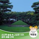 괘릉 화장실 | 소나무 숲길 속 고요한 시간, 경주 괘릉 산책 | 경주시 SNS 알리미 박준영