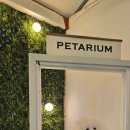 펫타리움 청담점 이미지