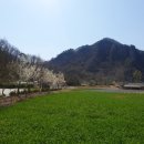 정선펜션 1박2일 이미지