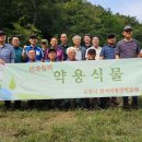 산과 들의 약용식물 이미지