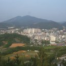 바라다