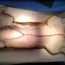 베스트 프렌즈 동물병원 이미지