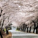 남해블라썸 이미지