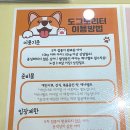 도그노리터 이미지