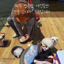 파주 법원읍 애견동반 민물 낚시터 : 직천낚시터