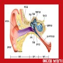 이경 메디칼 네이버블로그