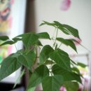 세종연세소아청소년과의원 이미지