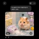 유튜브 데뷔 실패