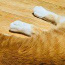 피자스쿨 북부점 | [주간일기] 12월 3주