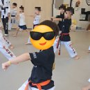 라이온태권도장 이미지