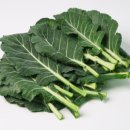 푸른건강녹즙 | 혈액순환음식, 피가 맑아지는 진짜 꿀템 리스트 공개~