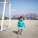 능북초등학교 이미지