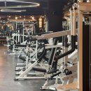 도미디 피트니스 | 망포 헬스장, 제대로 된 곳 찾았다! 도미디 피트니스 망포점 방문 후기