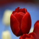 추억향기 이미지