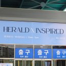 헤럴드 | 헤럴드X인스파이어드 아트페어 후기 학여울역 세텍 전시