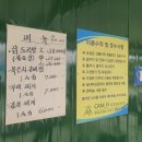 캠피그라운드 이미지