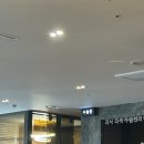 성우약국 | 내돈내산 인천 대학생의 라섹 후기 - 수술 후기, 부작용, 통증 등