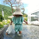 40번지 | 39도 폭염도 괜찮아! 물놀이까지 가능한 대형카페 화순 파인40 베이커리 카페 후기