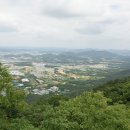 금강대학교(논산방면) Daum카페