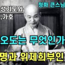 극락세계의 광명을 증득한 위제희부인과 무생법인 이미지